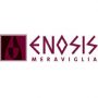 logo_enosis