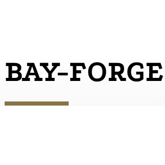 BayForge_200